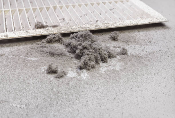 Best Residential Air Duct Cleaning  in Gruver, TX