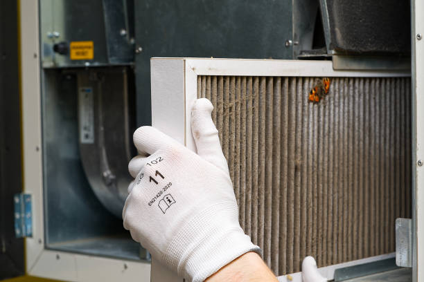 Best Air Duct Sanitizing Services  in Gruver, TX